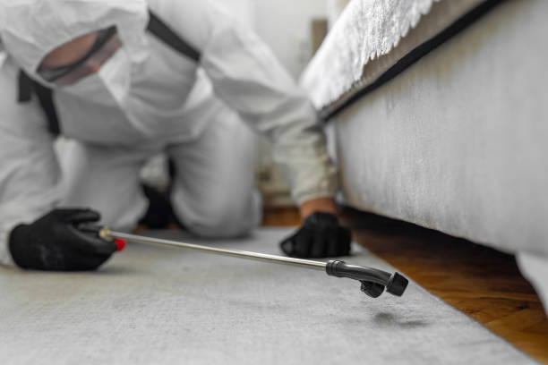 Professional Termite Control technician working in Manton, MI