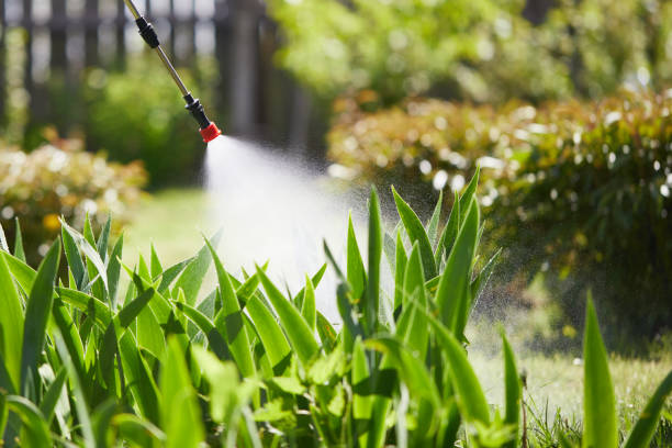 24/7 Emergency Termite Control experts in Manton, MI