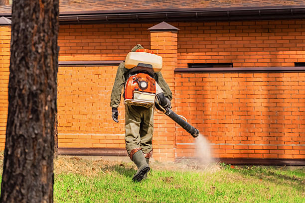 Trusted Termite Control service in Manton, MI - Nex Pest Control